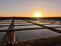 Salinas do Grelha6_small